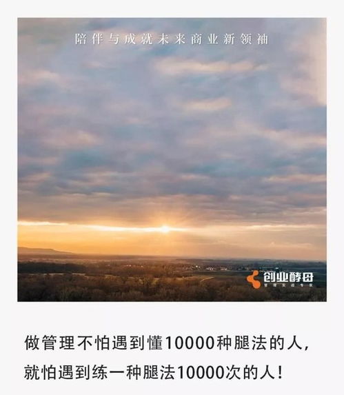 (彭良波简介)荣耀时刻：探寻彭良波在创业旅程中的奋斗与辉煌