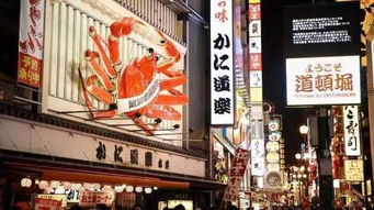 最新精准香港内部马料|探索城市隐秘角落的魅力_正式集.8.85