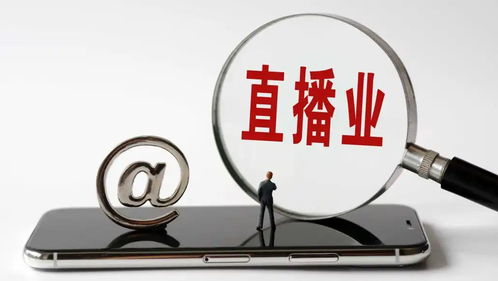 4949澳门开奖现场+开奖直播|精细解答解释落实_VIP1.542