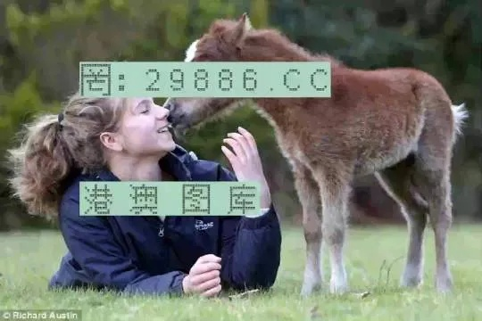 澳门平特一肖100%准确 正版|深入数据解释落实_精致型.1.936