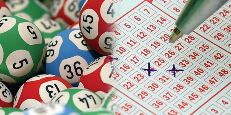 澳门六开奖结果网站查询|全面了解最新正品的解答与应用_手机版2.982