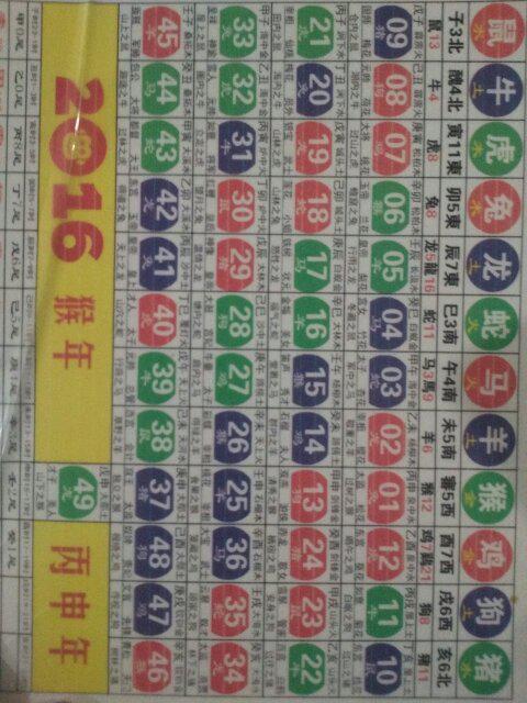 2024生肖排码表 正宗版|广泛的解释落实方法分析_探险版GM.8.679